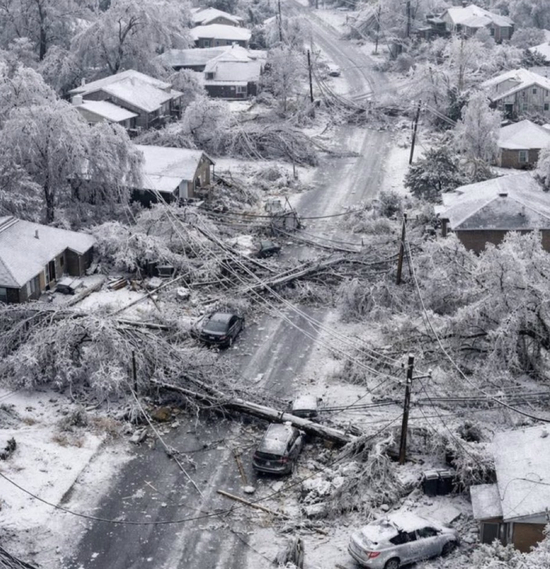 前有“ICE”后有极端暴雪，美国人民如何极限求生？这份“自救清单”在美国火了