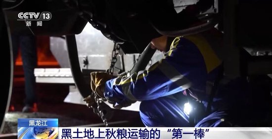 破解运力紧张 黑土地秋粮运输按下“加速键”