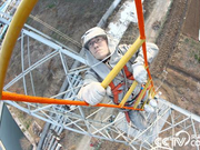 王进：与电共舞20年 行走在特高压线上的人