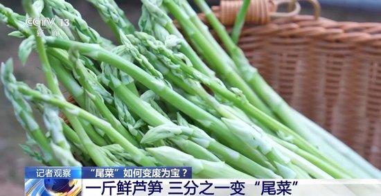 去当垃圾处理掉的“尾菜” 现在可以变废为宝