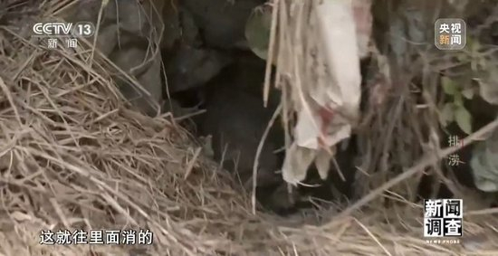 广西百色排涝情况如何?记者探访受灾村屯