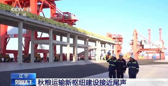 破解运力紧张 黑土地秋粮运输按下“加速键”