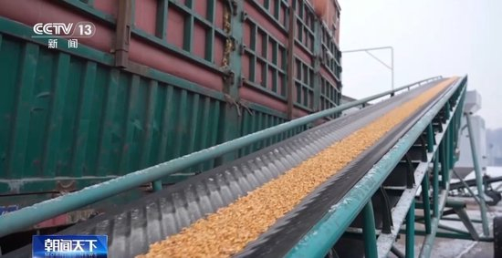 破解运力紧张 黑土地秋粮运输按下“加速键”