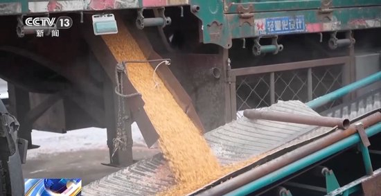 破解运力紧张 黑土地秋粮运输按下“加速键”