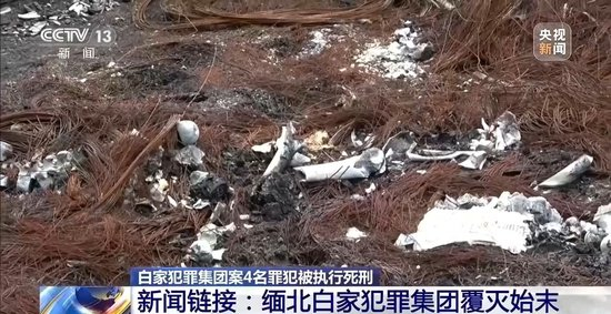 缅北白家犯罪集团案4名罪犯被执行死刑 起底该集团覆灭始末