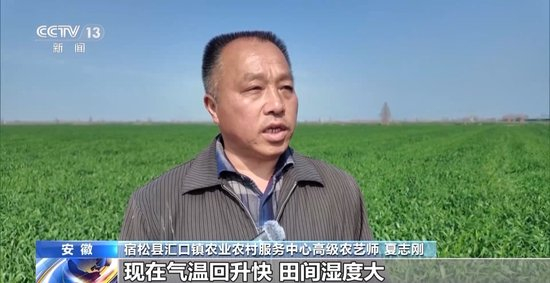 田间管理有序开展,促进冬小麦弱苗转壮