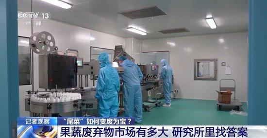 去当垃圾处理掉的“尾菜” 现在可以变废为宝