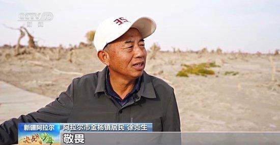 一线调研丨枯木也能长新芽？为胡杨林“解渴”他们有妙招