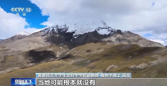 喜马拉雅山烟花秀:52秒燃放烟花1050盆,距最近水体仅30米,专家:草毡层破坏或需百年修复