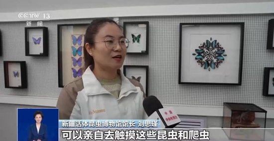 运动+研学 多地首个“雪假”有滋有味乐趣十足