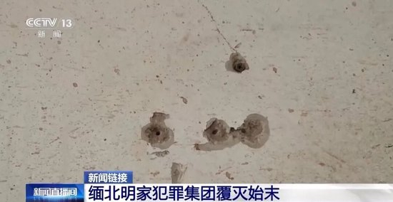 明珍珍当庭忏悔视频曝光：为以前的无知愚昧感到懊悔，愿意承担责任