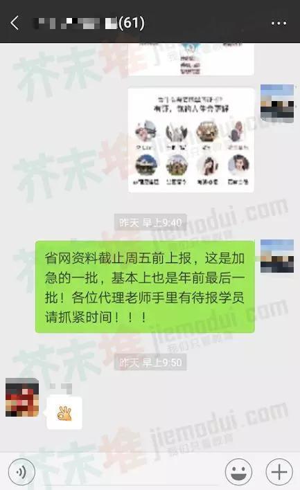 杨璐展示的代理群聊天记录