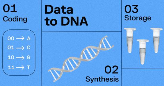 25年来,DNA存储领域有哪些重要突破?1克DNA能存储215PB数据是什么概念?