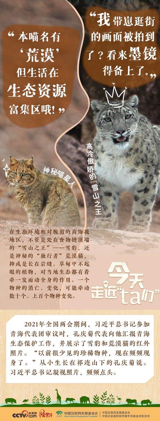 习近平特别关注的“TA们”