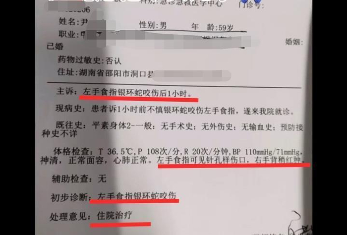男子直播挖蛇被咬,去医院后没打血清就自行离开,知情人:仍无音讯