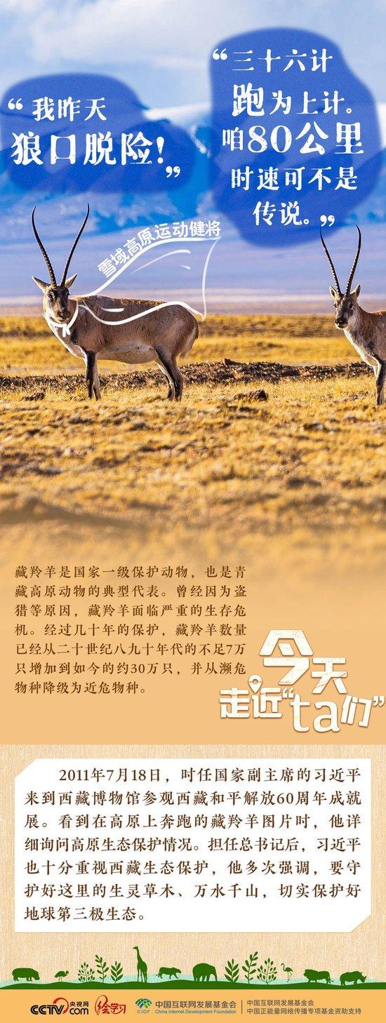 习近平特别关注的“TA们”