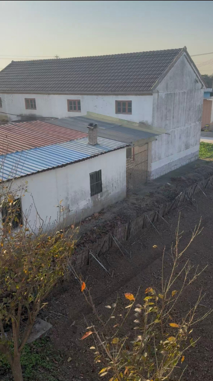 高三学生被车辆撞击一年后死亡，邻居涉嫌故意杀人，一审开庭未宣判