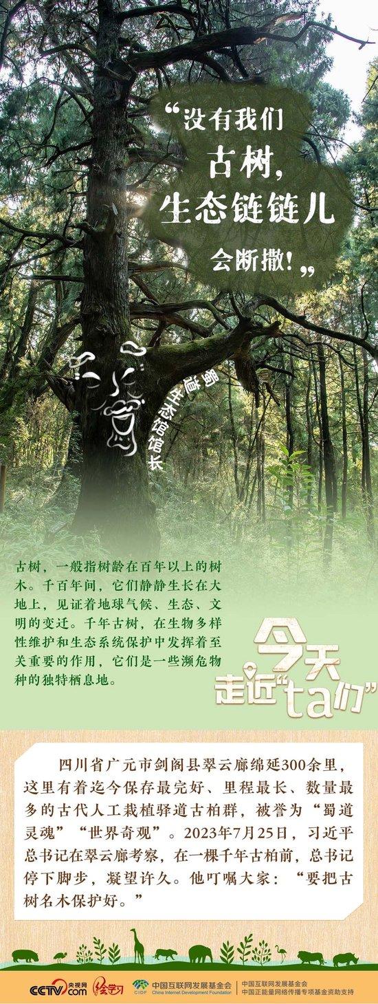 习近平特别关注的“TA们”