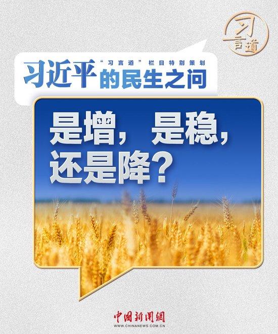 习近平的民生之问|“是增,是稳,还是降?”
