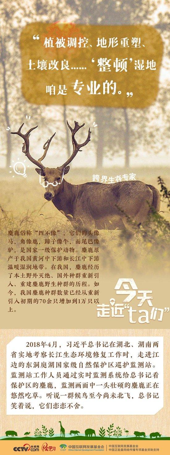 习近平特别关注的“TA们”
