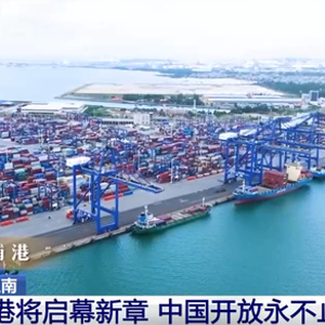 自由贸易港的机遇 w300h300z1l10t10q100b5c.jpg