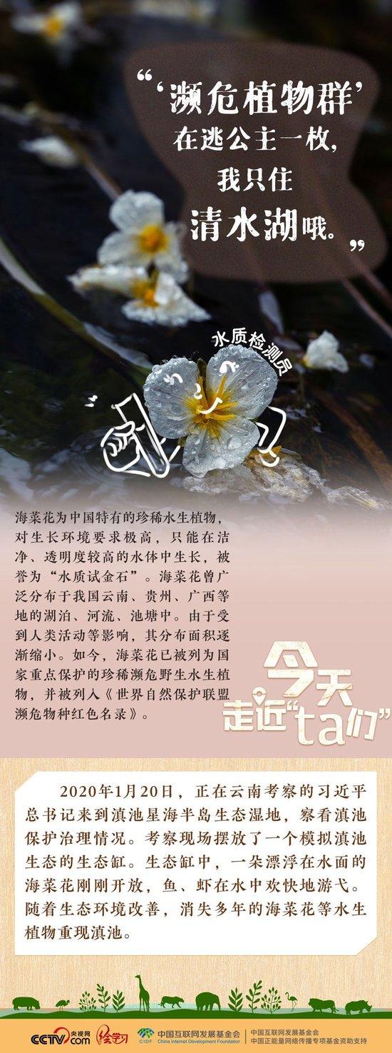 习近平特别关注的“TA们”