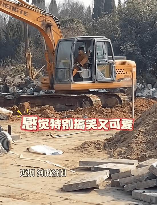 少林寺新住持:开挖机种麦子的方丈