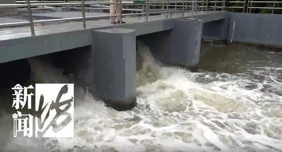 上海“雨大到感觉在下瀑布”，334所学校停课！今天的打工人：“牛马变河马”