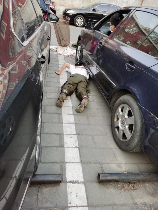 志愿者和居民正在救猫