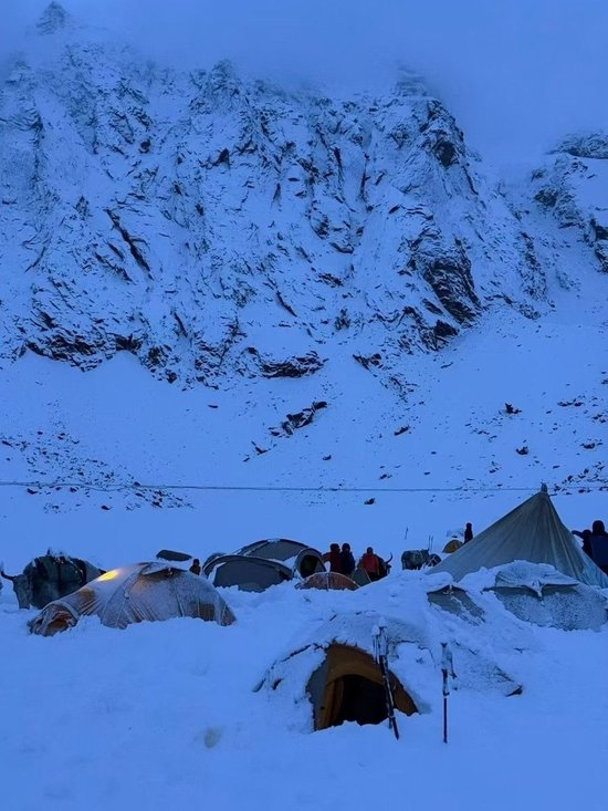 当山野成为失控的生意