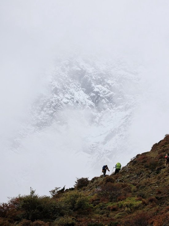 当山野成为失控的生意