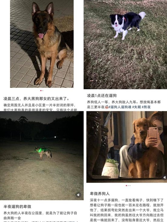 “史上最严”养犬新规今起施行 养犬人自研遛狗神器防被讹