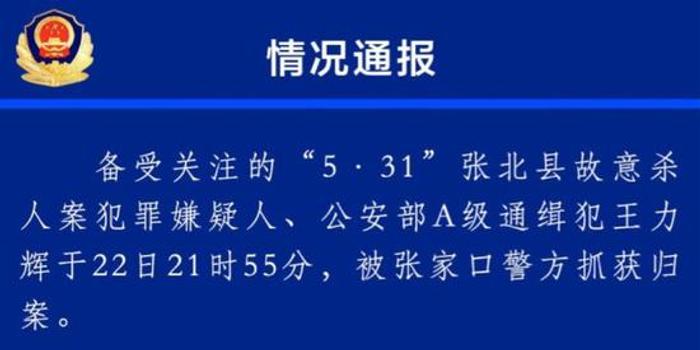 公安部A级通缉犯王力辉落网 涉嫌12年内杀6人