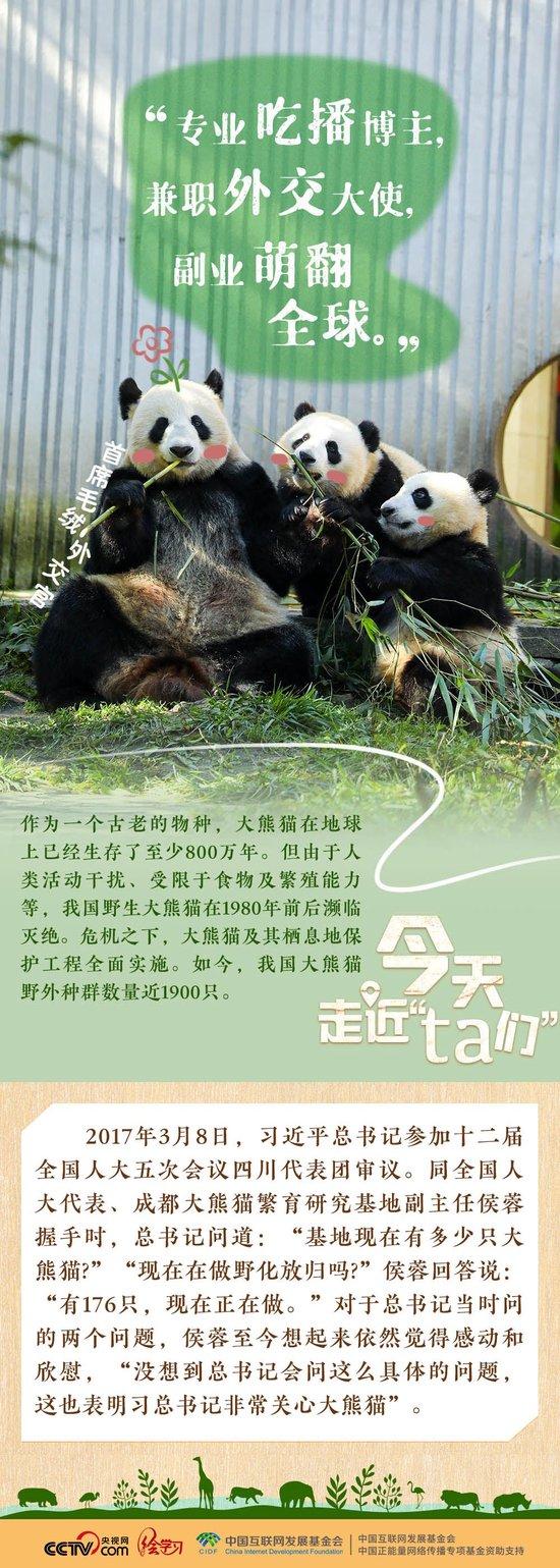 习近平特别关注的“TA们”