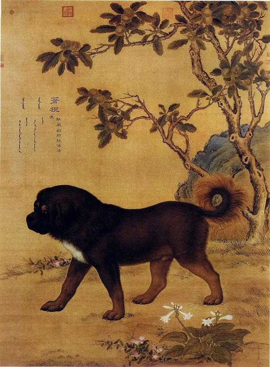 清代《十骏犬图》中藏獒的形象