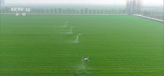 田间管理有序开展,促进冬小麦弱苗转壮