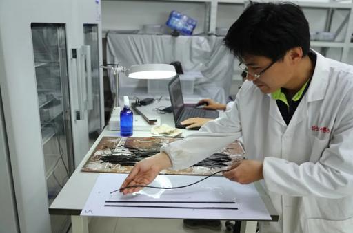 从“软得像面条”到清晰可辨：考古人这样抢救简牍