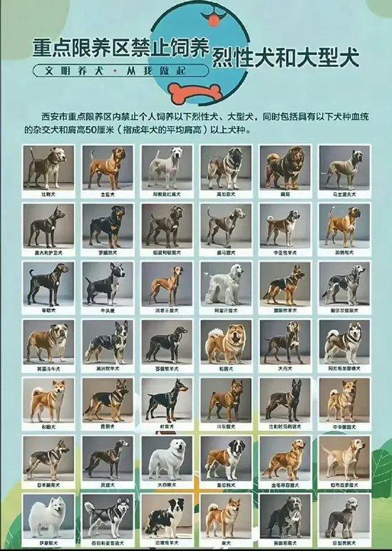中华田园犬被禁养登上热搜！网友不理解称“老祖宗严选为什么不让养”？西安多部门回应