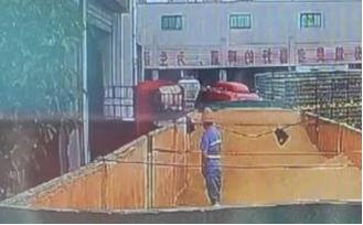 来源:视频截图