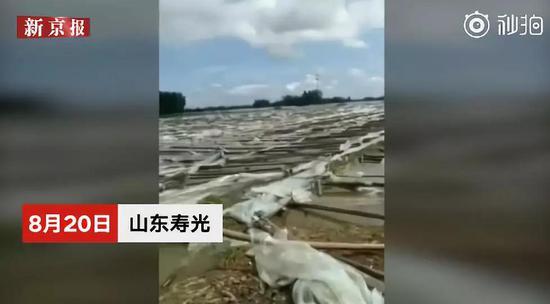 来源:新京报我们视频