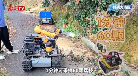 大湾区年产29万吨背后的给“荔”科技|数说大湾区