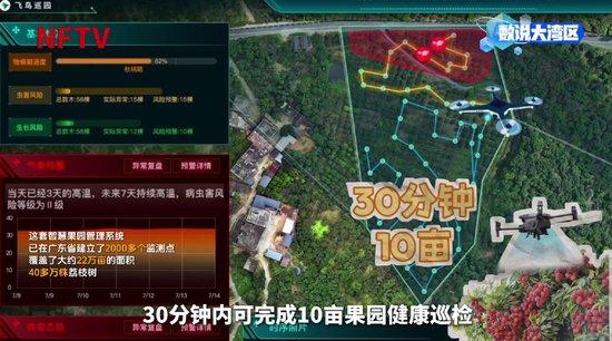 大湾区年产29万吨背后的给“荔”科技|数说大湾区