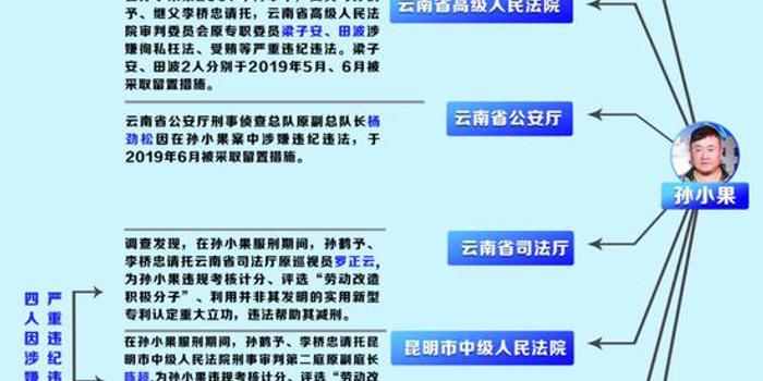 孙小果案关系网渐明 云南公安高院监狱系统全涉及