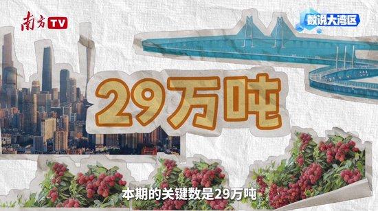 大湾区年产29万吨背后的给“荔”科技|数说大湾区