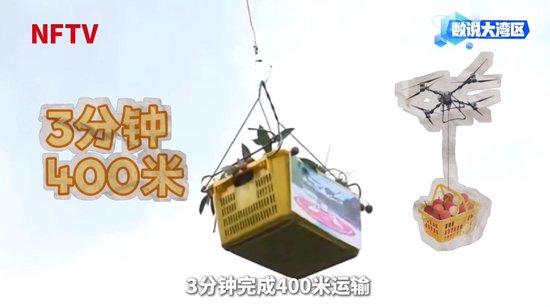 大湾区年产29万吨背后的给“荔”科技|数说大湾区
