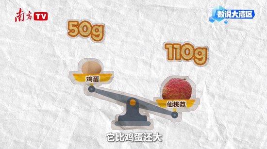 大湾区年产29万吨背后的给“荔”科技|数说大湾区