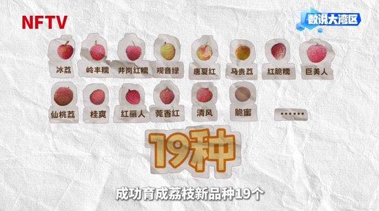 大湾区年产29万吨背后的给“荔”科技|数说大湾区