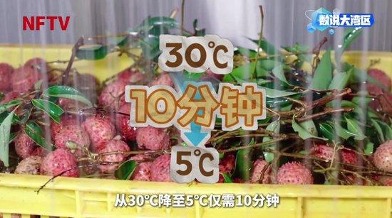 大湾区年产29万吨背后的给“荔”科技|数说大湾区