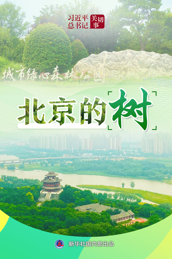 习近平总书记关切事|北京的树