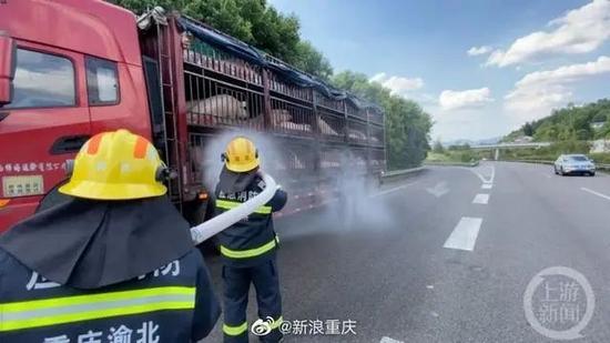 热热热！猪中暑，老鹰飞着飞着，也中暑坠江了！多地网友晒电费，有人一月近5000